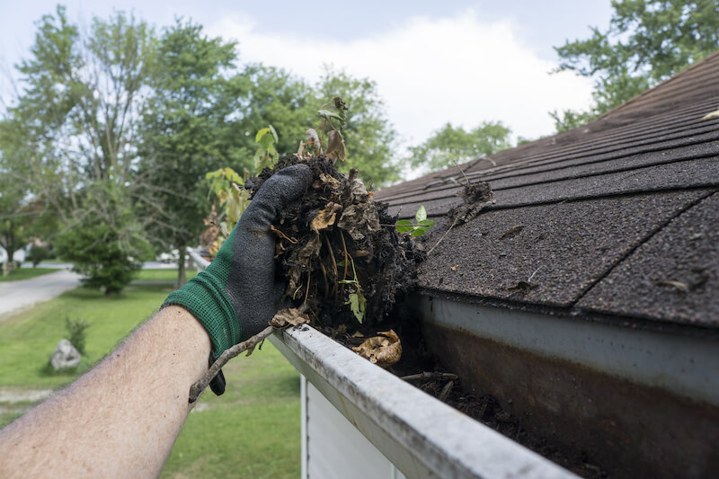 Picture of someone with a glove cleaning out the gutter of a home.